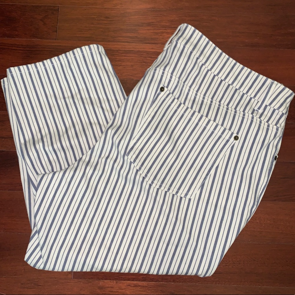Lane Bryant Striped Jeans 22